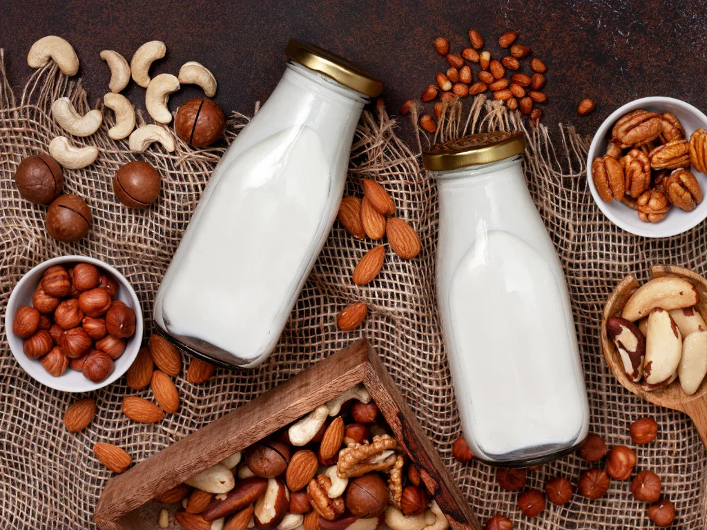 Sữa Hạnh Nhân, Óc Chó, Hạt Điều – Loại Nào Tốt Hơn? So Sánh Chi Tiết