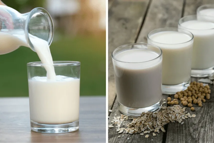 Sữa Hạt và Sữa Tươi – So Sánh Tất Tần Tật, Đọc Xong Biết Chọn Loại Nào!