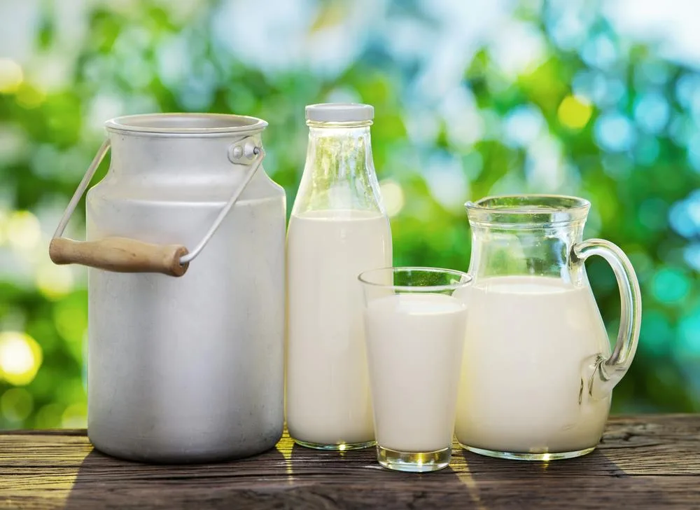 Sữa Hạt và Sữa Tươi – So Sánh Tất Tần Tật, Đọc Xong Biết Chọn Loại Nào!
